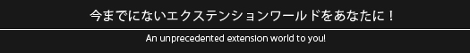 今までにないアイラッシュデザインをあなたに!ラメアイラッシュ/ラメエクステ スワロアイラッシュ/スワロラッシュ まつ毛エクステンション